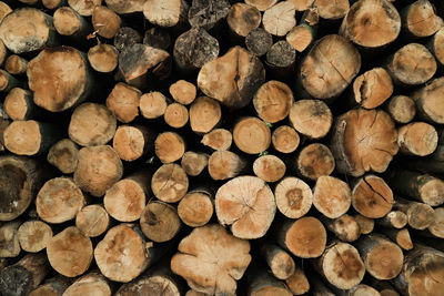 Full frame shot of logs