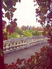 Scenic view of flowering plants by railing against sky