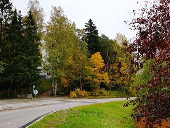 Road amidst trees against sky during autumn