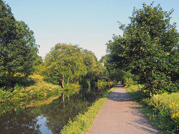 Road amidst trees against sky