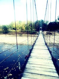 Boardwalk amidst trees against sky