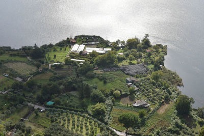 High angle view of trees and houses on field against sky