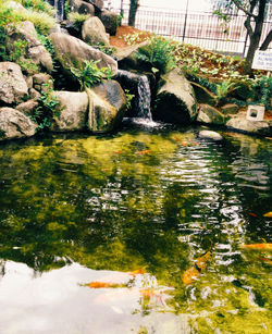 Stream flowing through rocks