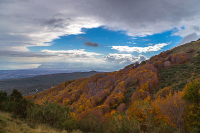 Scenic view of landscape against sky during autumn