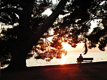 Silhouette man sitting on tree by sea against sky