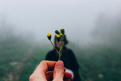 Close-up of hand holding flower