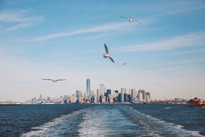 Seagulls flying over river against one world trade center