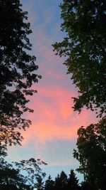 Low angle view of silhouette trees against sky