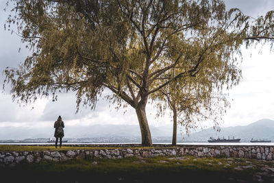 Rear view of man standing by tree against sky