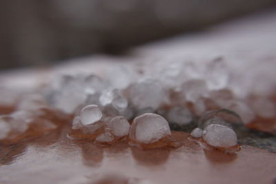 Close-up of ice cream