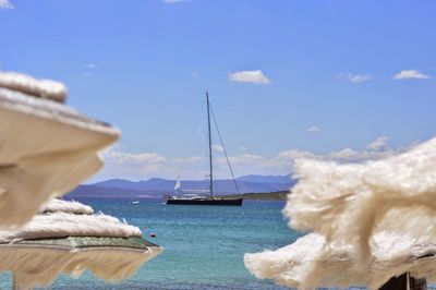 Sailboats sailing in sea against sky