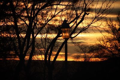 Silhouette bare trees against sky during sunset