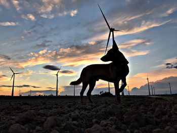 Silhouette dog standing on field against sky during sunset