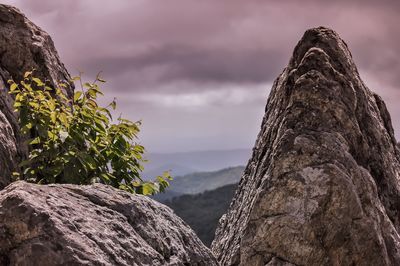 Low angle view of rock formation against sky