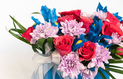 Close-up of multi colored flowers against white background