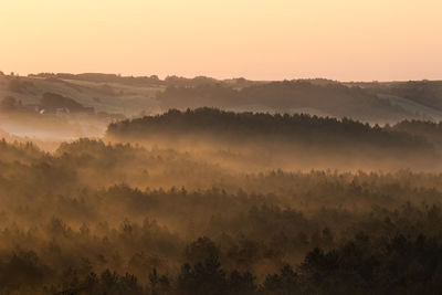 Scenic view of trees against sky during sunset