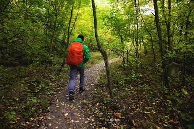 A tourist in a green jacket and a red backpack walks along a mountain path in spring or autumn