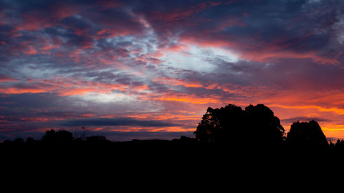 Silhouette trees against dramatic sky during sunset