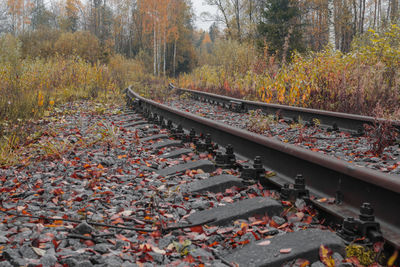 Railroad track in forest during autumn