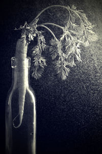 Close-up of wine bottles against black background