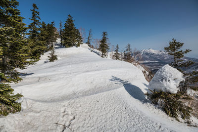 Snow covered land and trees against sky