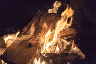 Close-up of fire on log at night