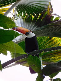 Close-up of bird perching on plant