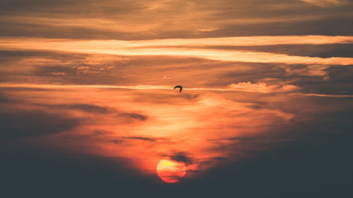 Scenic view of silhouette bird against sky during sunset