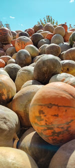 Close-up of fruits for sale at market