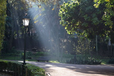 Street light on road amidst trees