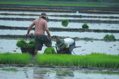 Rear view of man working at farm