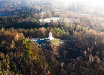 Scenic view of trees on landscape