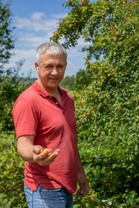 A man picks a yellow plum on a green tree. branches with ripe yellow fruits of cherry plum. 