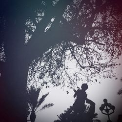 Low angle view of bare tree against sky