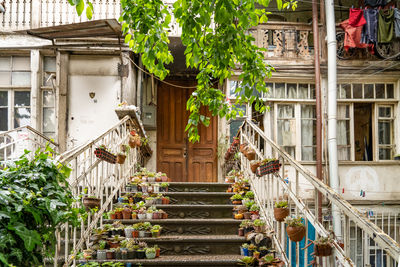 architecture