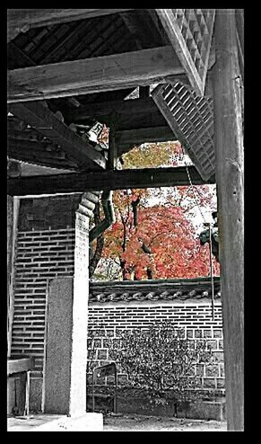 transfer print, architecture, built structure, auto post production filter, building exterior, metal, railing, old, house, steps, abandoned, roof, steps and staircases, metallic, low angle view, staircase, obsolete, damaged, day, run-down