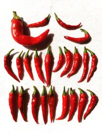 Close-up of red chili pepper against white background