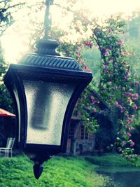 Close-up of illuminated lamp in garden