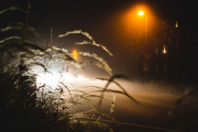 Illuminated street light in city at night