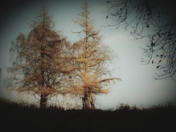 Silhouette trees on field against sky