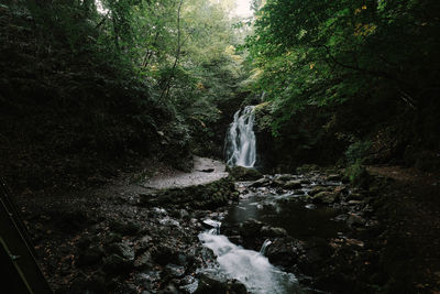 Waterfall in forest