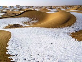 Close-up of sand at beach