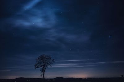 Low angle view of silhouette tree against sky at night
