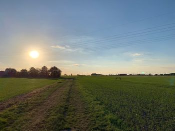 Scenic view of field against sky during sunset