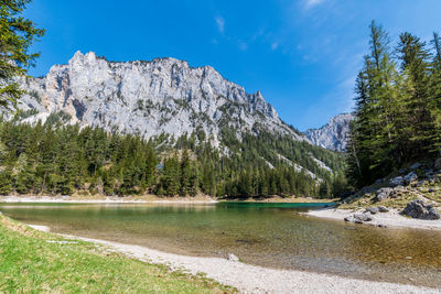 Scenic view of lake by trees against sky