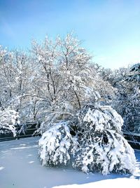 Scenic view of snow covered landscape