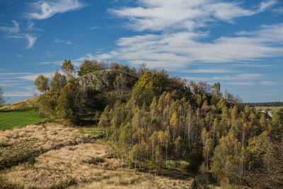 Plants growing on land against sky