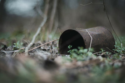 Close-up of old abandoned car on field