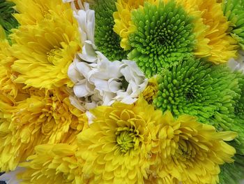 Full frame shot of yellow flowering plant