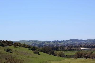 Scenic view of landscape against clear sky